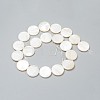 Natural Freshwater Shell Beads BSHE-I011-01A-02-2