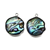 304 Stainless Steel Pave Natural Paua Shell Pendants STAS-Z125-01H-P-1