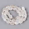 Natural Agate Beads Strands G-Q604-02A-12-2