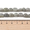 Natural Labradorite Beads Strands G-P623-A03-01-5