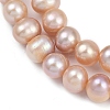 Natural Cultured Freshwater Pearl Beads Strands PEAR-I007-07J-07B-4