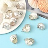 Electroplated Spiral Shell Pendants BSHE-YW0001-07P-1