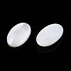 Natural White Shell Cabochons SSHEL-T017-06-2