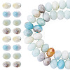 1 Strand Natural Flower Amazonite Beads Strands G-TA0003-26A-1