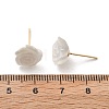 Brass Cat Eye Stud Earrings EJEW-B133-01G-03-5