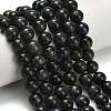 Natural Black Labradorite Beads Strands G-L642-B15-10mm-1