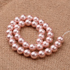 Polished Round Grade A Shell Pearl Bead Strands BSHE-M027-10mm-23-2