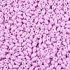 Baking Paint Glass Seed Beads SEED-T006-03L-2