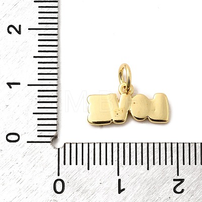 Brass Enamel Charms KK-A268-10G-03-1