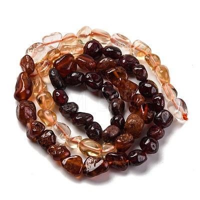 Natural Garnet & Citrine Beads Strands G-L610-B07-01-1