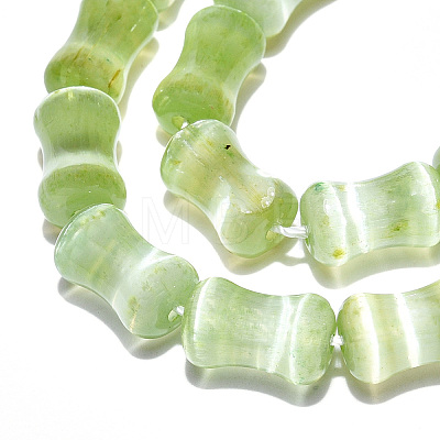 Dyed Natural Selenite Beads Strands G-T138-234E-1