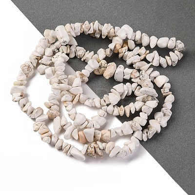 Magnesite Chip Bead Strands G-M205-75-1