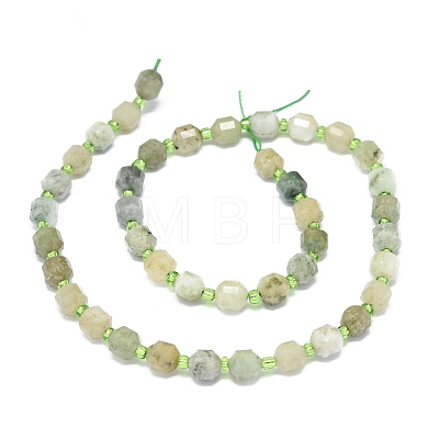 Natural Myanmar Jade Beads Strands G-O201B-94-1