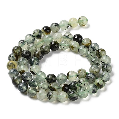 Natural Prehnite Beads Strands LS-G-P322-48-6mm-01-1