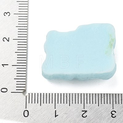 Resin Cabochons RESI-R456-06C-1