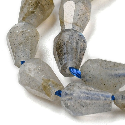 Natural Labradorite Beads Strands G-C080-B03-01-1