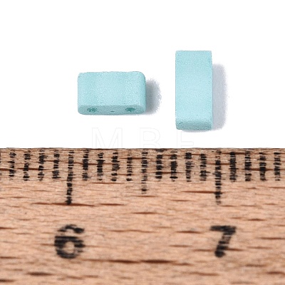 2-Hole Glass Seed Beads SEED-S023-31B-05-1
