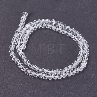 Transparent Glass Beads Strands EGLA-F120-NA01-1