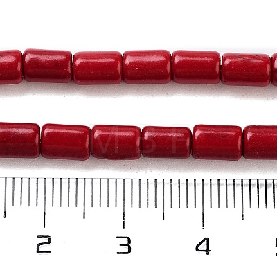 Synthetic Turquoise Beads Strands X-TURQ-G120-4x6mm-07-1