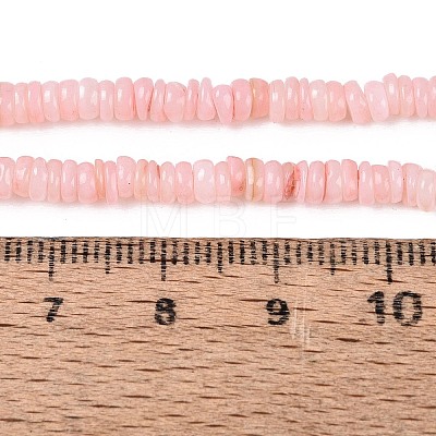 Natural Freshwater Shell Beads Strands SHEL-Q028-01D-1