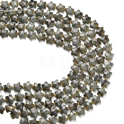 Natural Gray Labradorite Beads Strands G-L657-A02-01-1