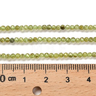 Natural Peridot Beads Strands G-B107-A06-01-1