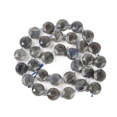 Natural Labradorite Beads Strands G-C116-A46-01-1