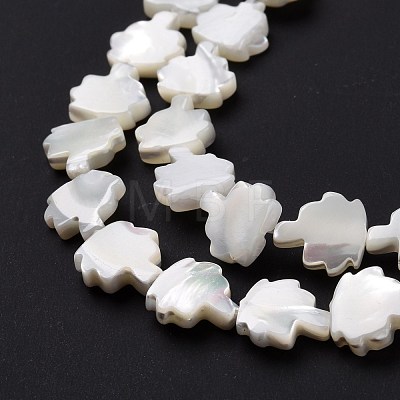 Natural Trochid Shell Beads Strands SSHEL-G023-09B-1