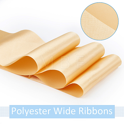 Polyester Wide Ribbons OCOR-WH0082-168A-1