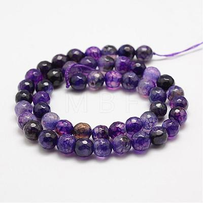 Faceted Natural Crackle Agate Beads Strands G-F447-8mm-G01-1