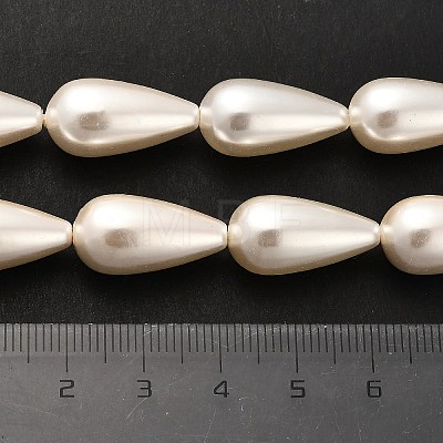 Electroplate Shell Pearl Beads Strands BSHE-G010-10x20mm-01-1