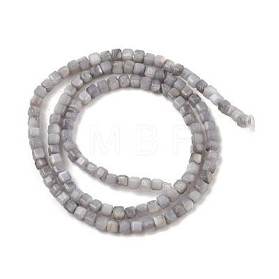 Natural Freshwater Shell Dyed Beads Strands SHEL-R100-11A-02-1