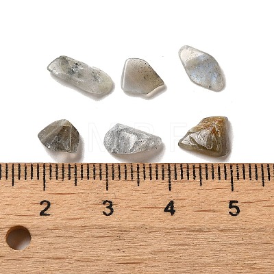 Natural Labradorite Beads G-O103-33-1
