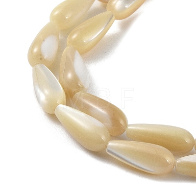 Natural Trochus Shell Beads PEAR-B002-01A-B-1