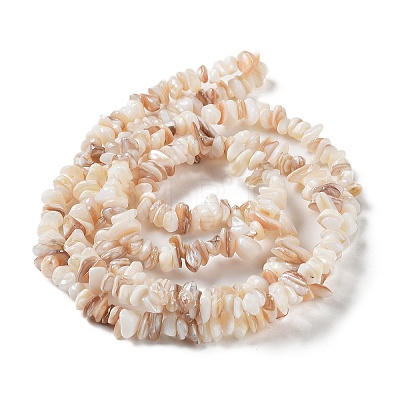 Natural Shell Beads Strands G-F328-45-1