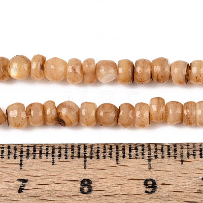 Natural Freshwater Shell Dyed Beads Strands SHEL-T020-29A-04-1