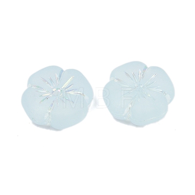 Frosted Transparent Acrylic Beads LS-OACR-P029-19B-06-1
