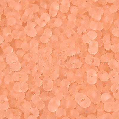 FGB Frosted Transparent Glass Seed Beads SEED-N013-06A-04-1