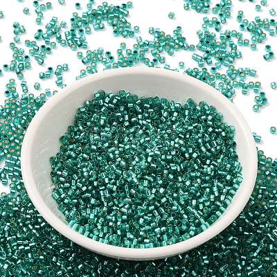 Glass Seed Beads SEED-S042-04B-29-1