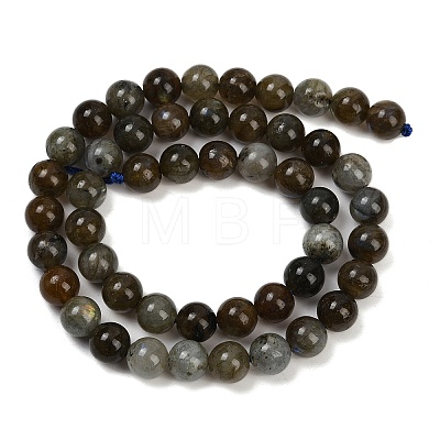 Natural Labradorite Beads Strands G-I253-01-8mm-1