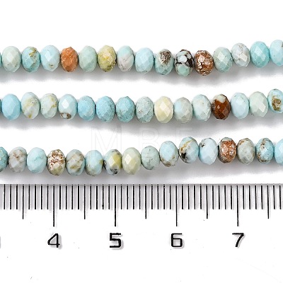 Natural Howlite Beads Strands X-G-H025-03C-09-1