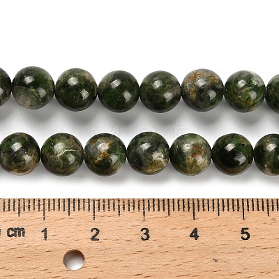 Natural Diopside Beads Strands G-R006-A01-02-1