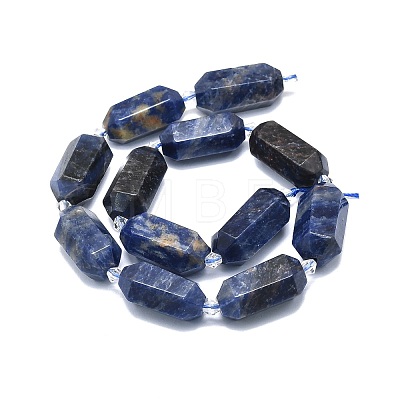 Natural Sodalite Beads Strands G-F715-060-1