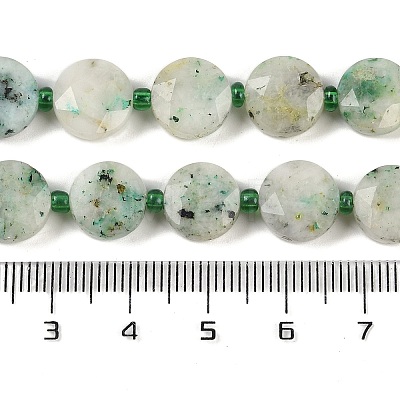 Natural Chrysocolla Beads Strands G-C116-A37-01-1