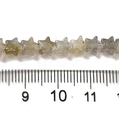 Natural Labradorite Beads Strands G-G085-B25-02-1