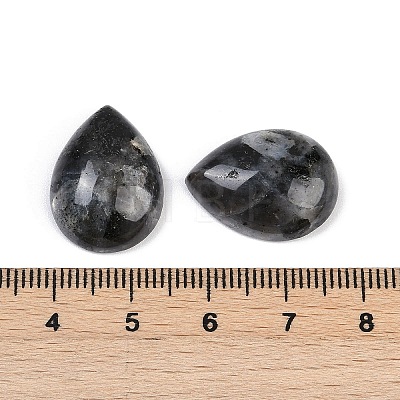 Natural Larvikite Cabochons G-H094-01A-15-1