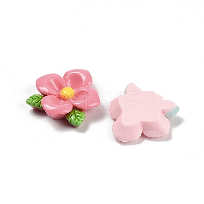 Opaque Resin Cabochons RESI-Z044-01C-1