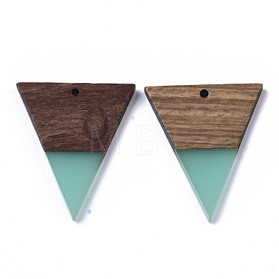 Resin & Walnut Wood Pendants RESI-T035-06B-1