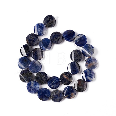 Natural Sodalite Beads Strands G-O120-14-1