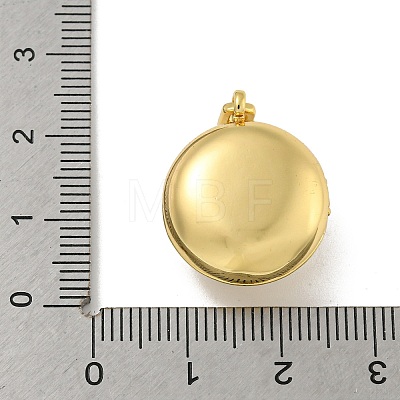 Brass Cubic Zirconia Locket Pendants KK-N254-93D-G-1